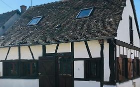 Les Mésanges